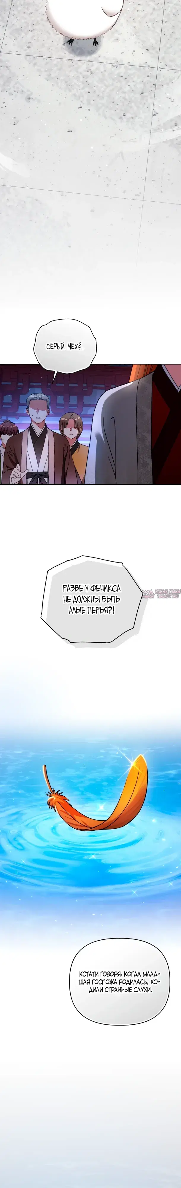 «Пушистик, принадлежащий семье белых тигров», глава 1, страница 14.000000000