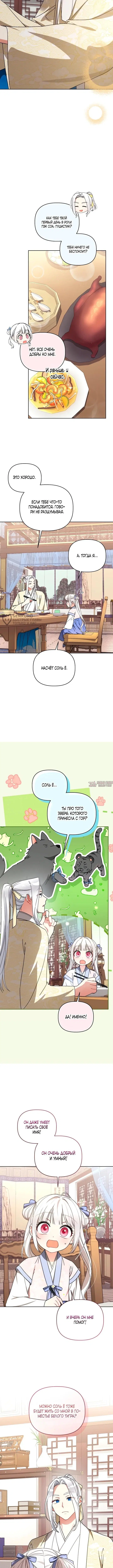 Page 7.000000000