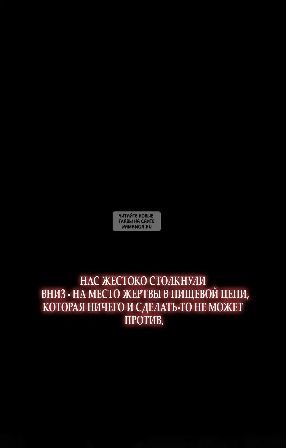 Page 61.000