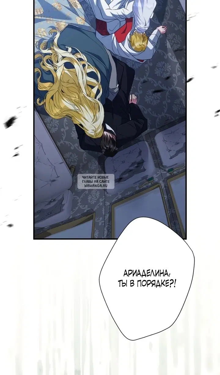 Page 113.000