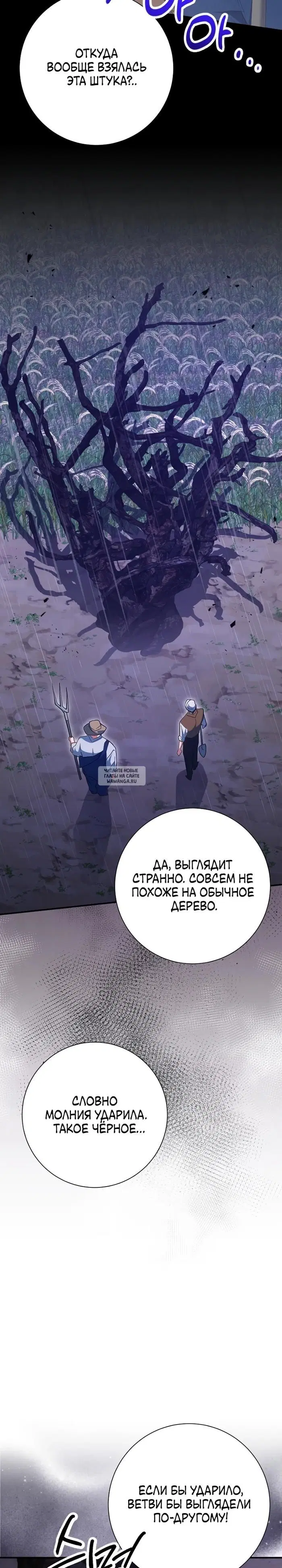 Page 31.000