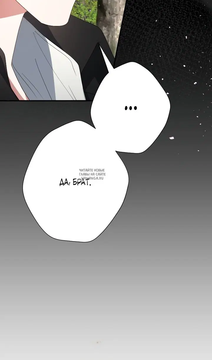 Page 41.000