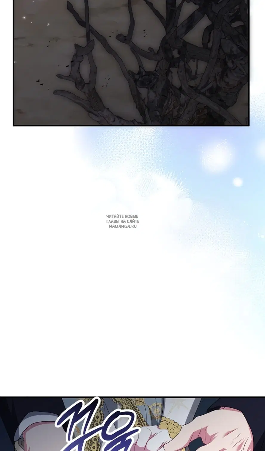 Page 42.000