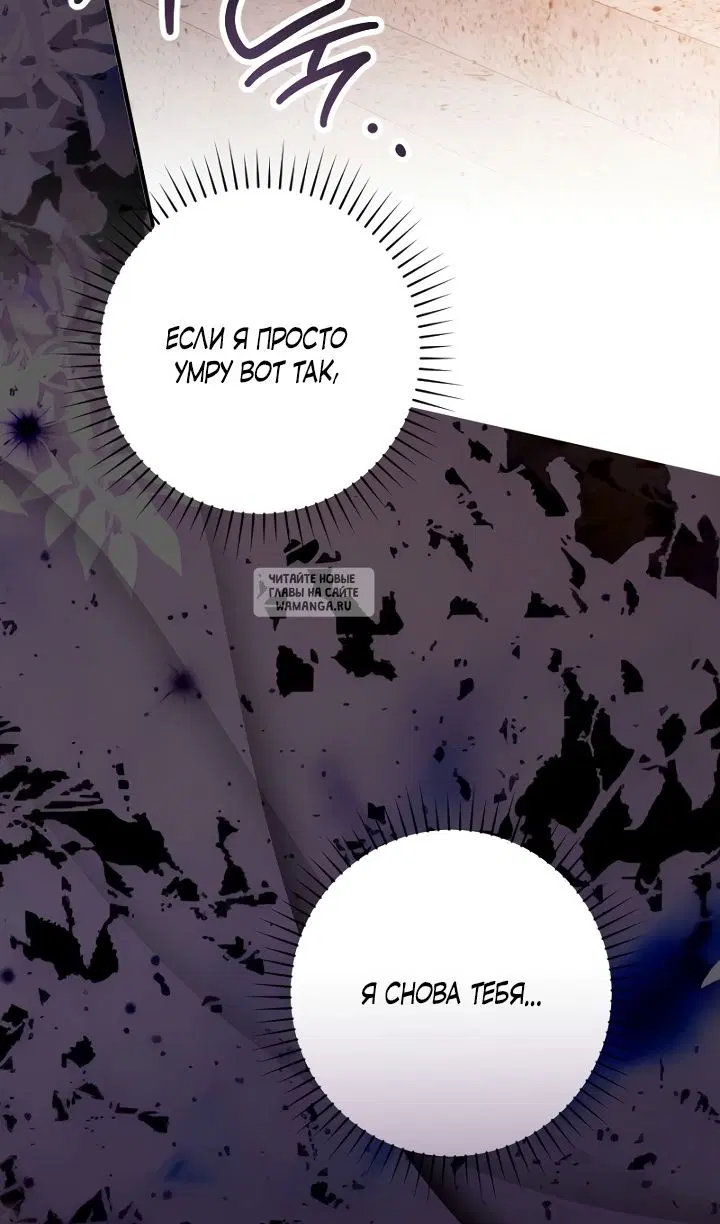 Page 51.000