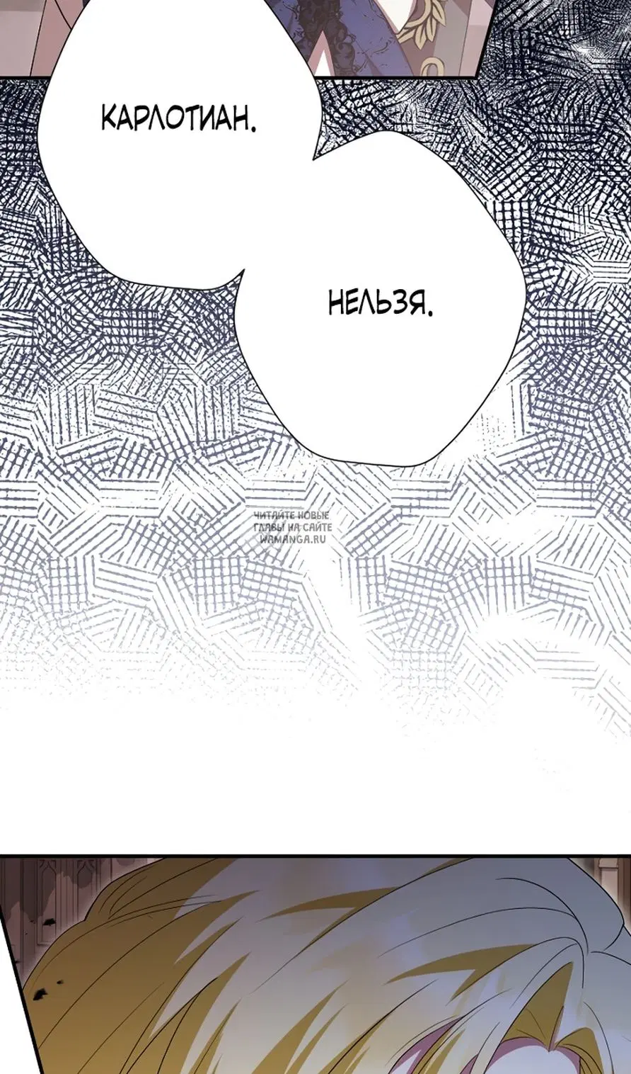 Page 53.000