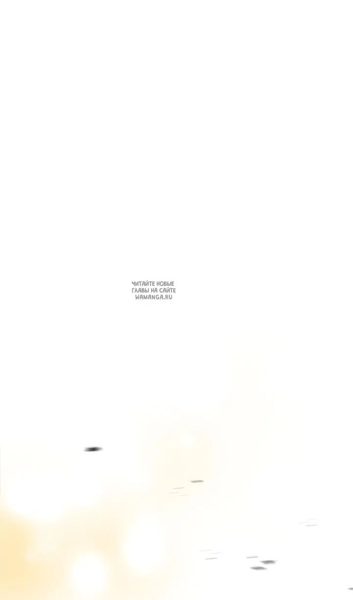 Page 81.000