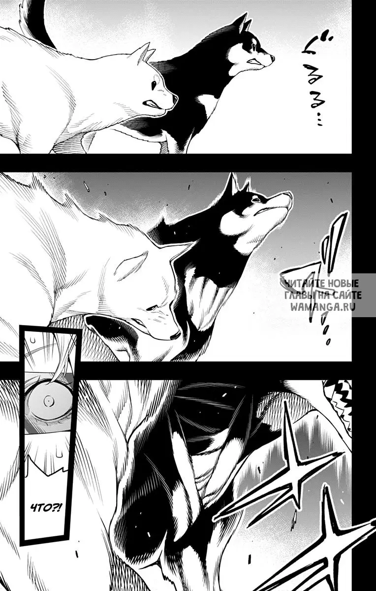 Page 8.000