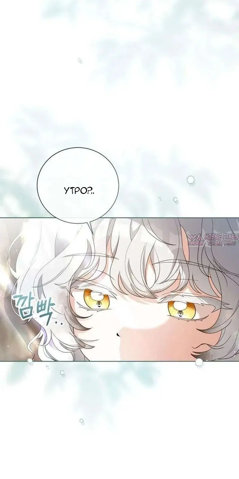 Page 15.000000000