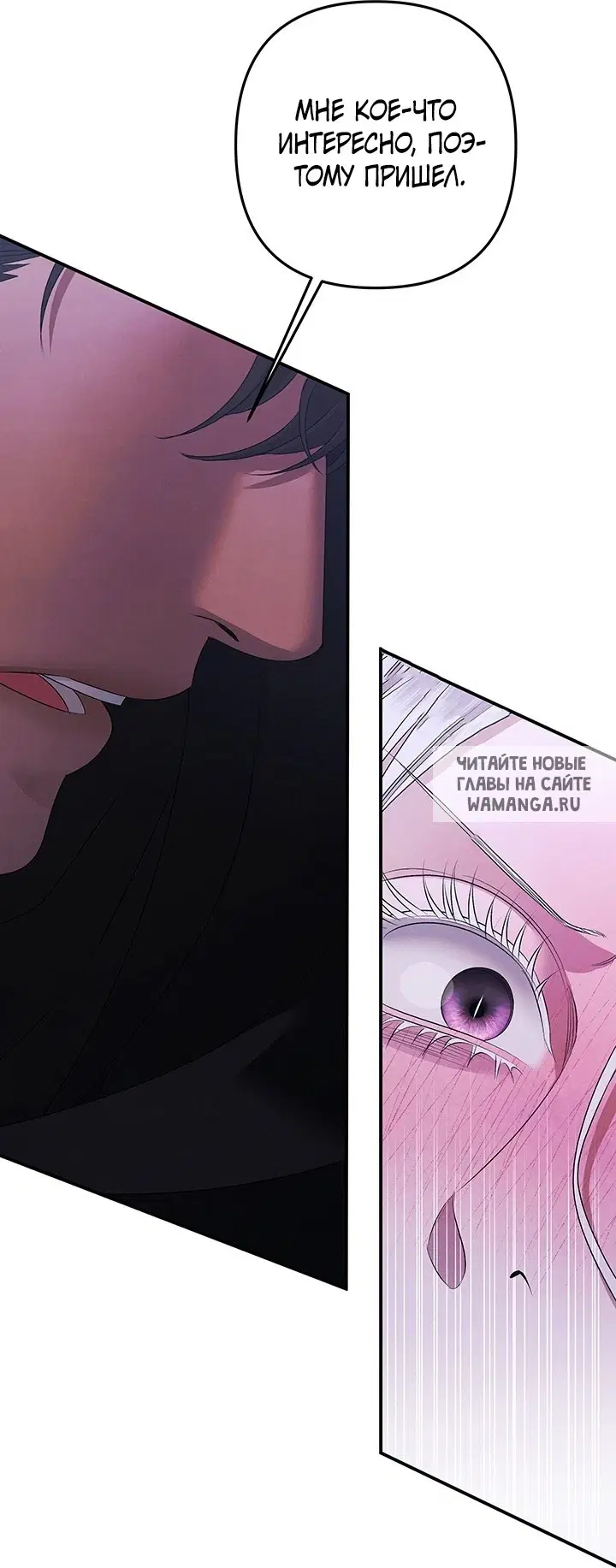 Page 51.000