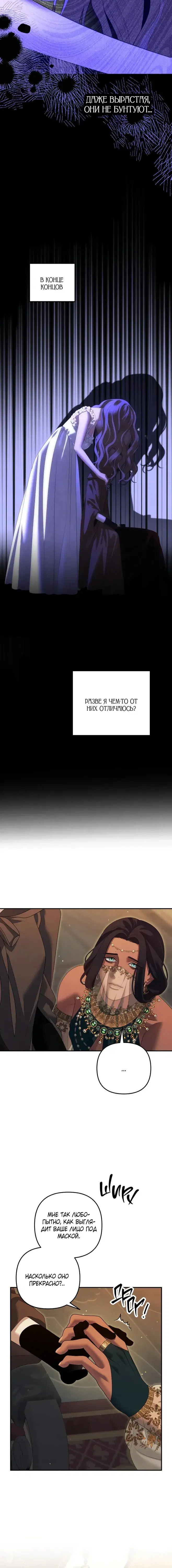 Page 5.001