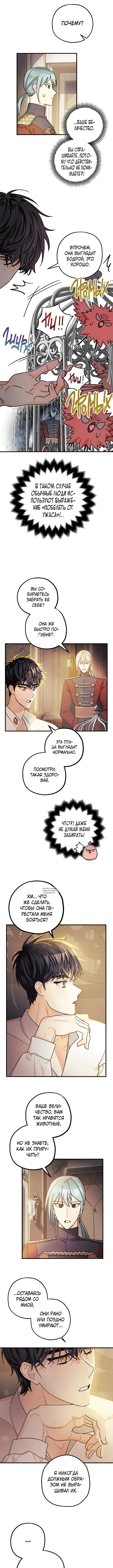 Page 2.000