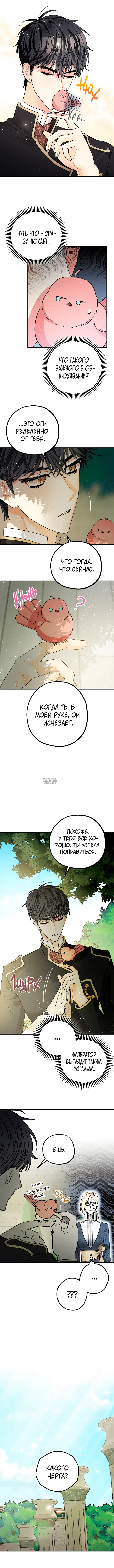 Page 3.000