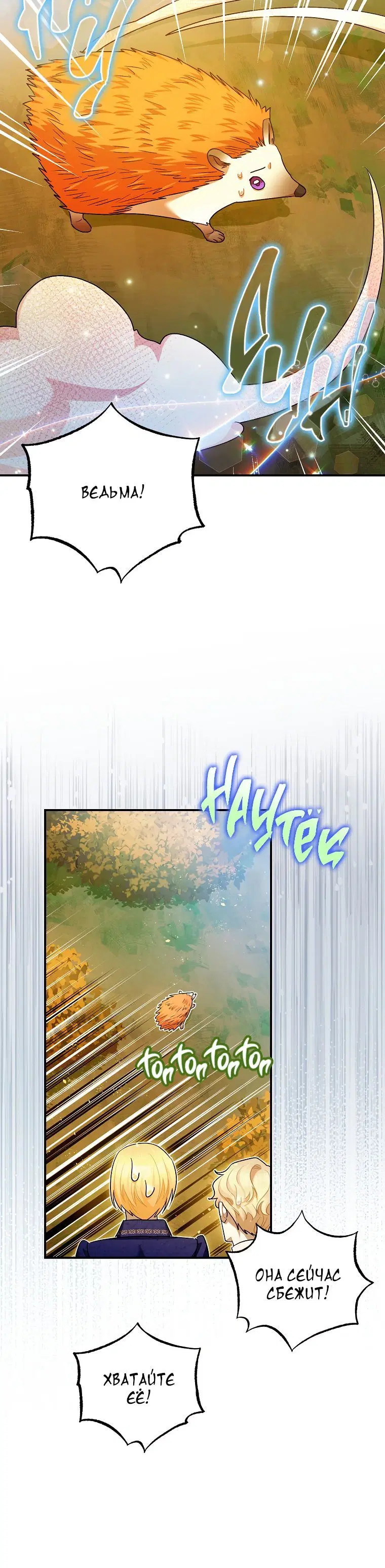 Page 5.001