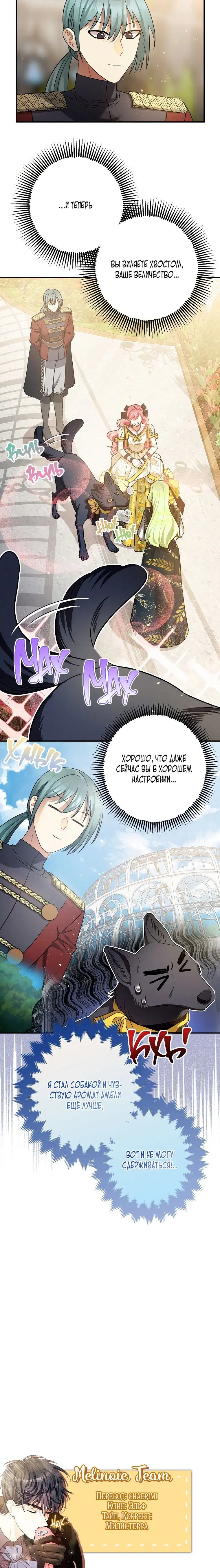 Page 6.001