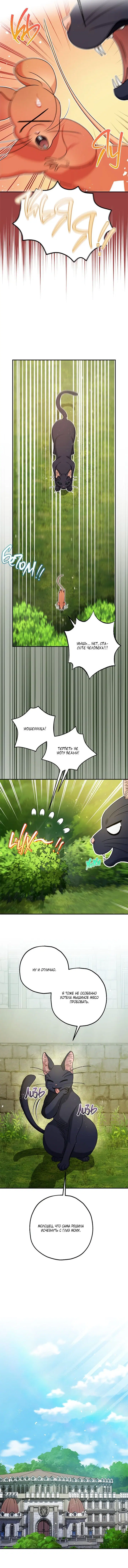 Page 7.001