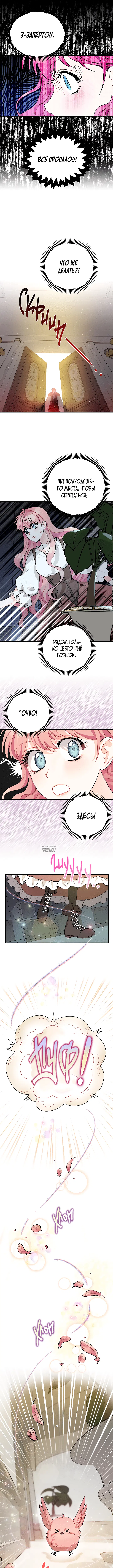 Page 8.000