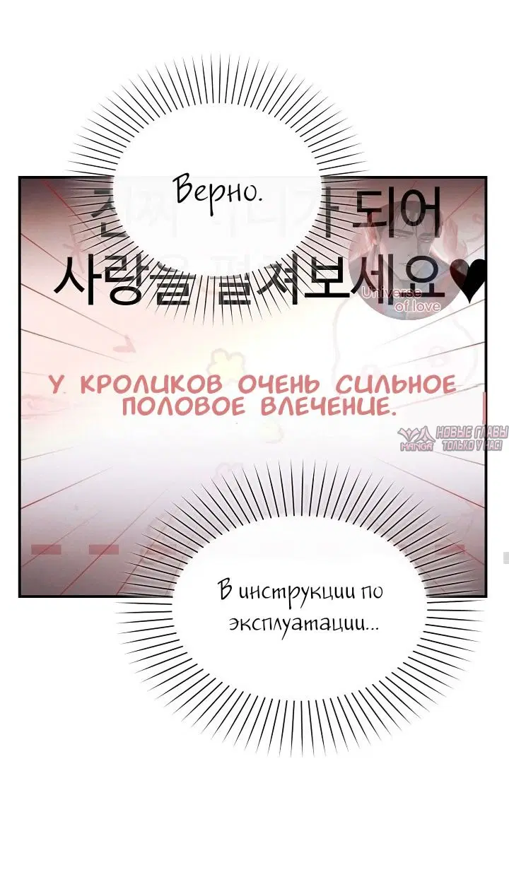 Page 48.000