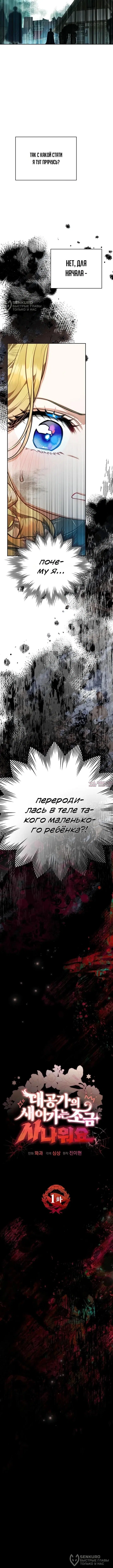 «Малышка в семье герцога немного свирепа», глава 1, страница 4.000000000