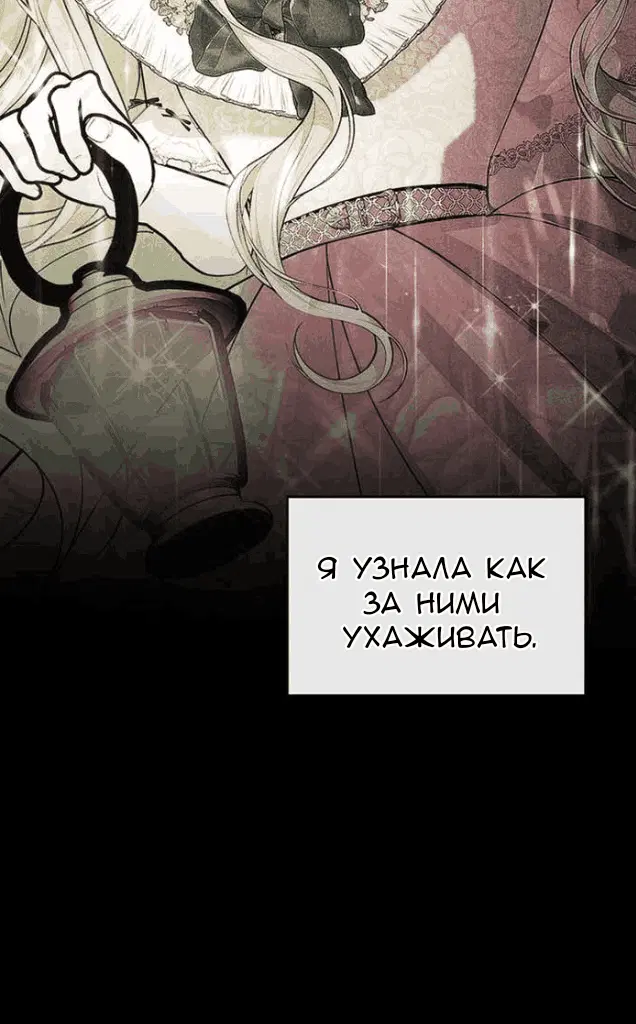 Page 40.000