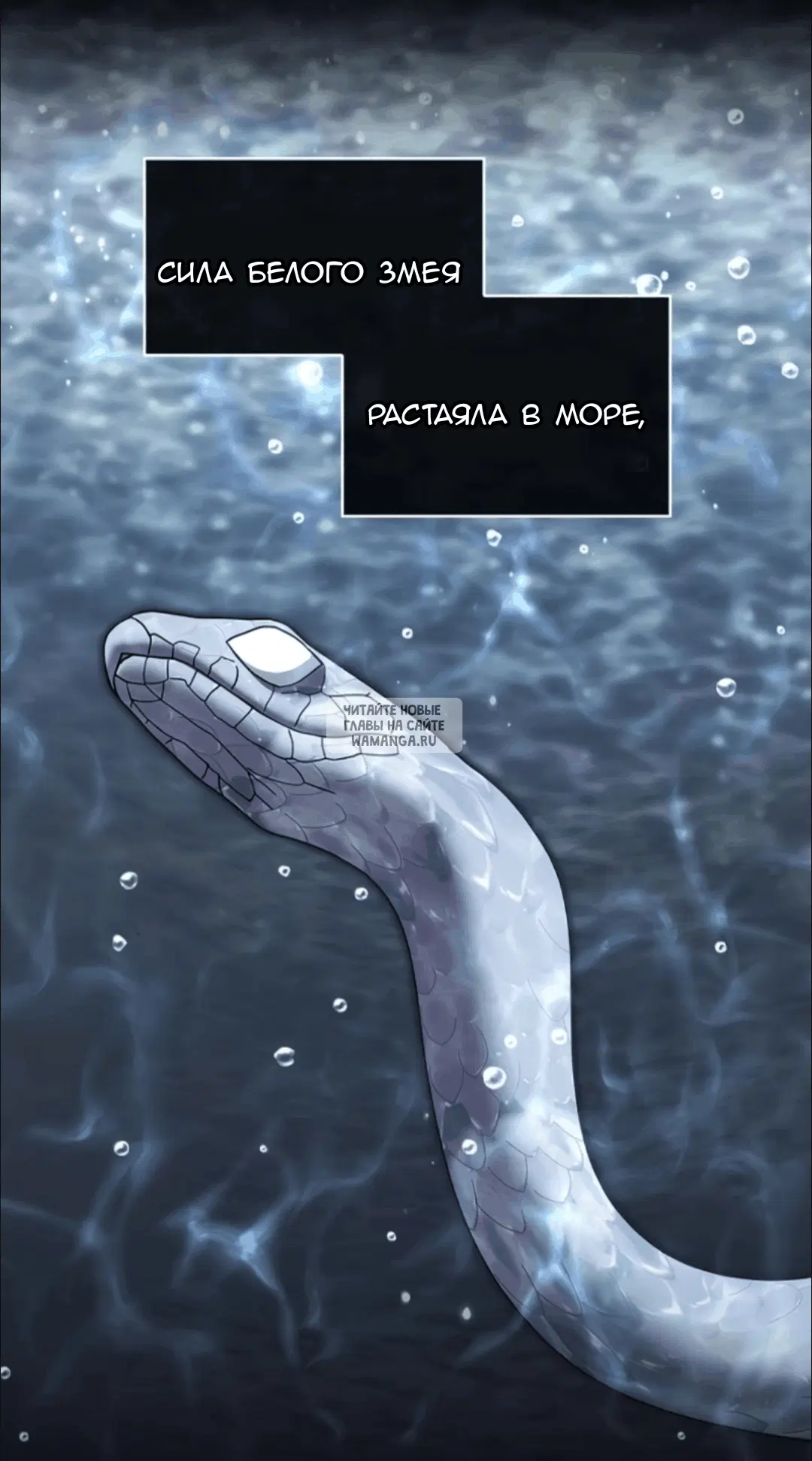 Page 55.000