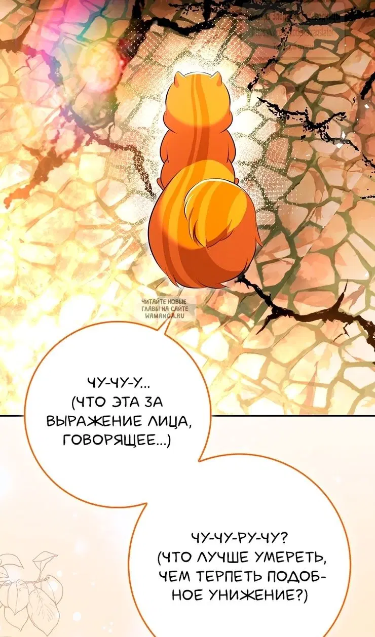 Page 114.000