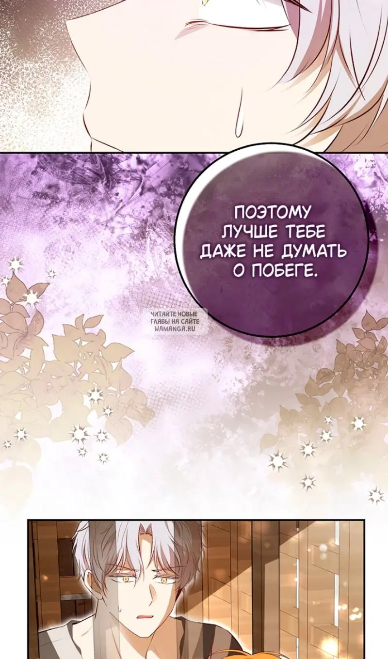 Page 49.000