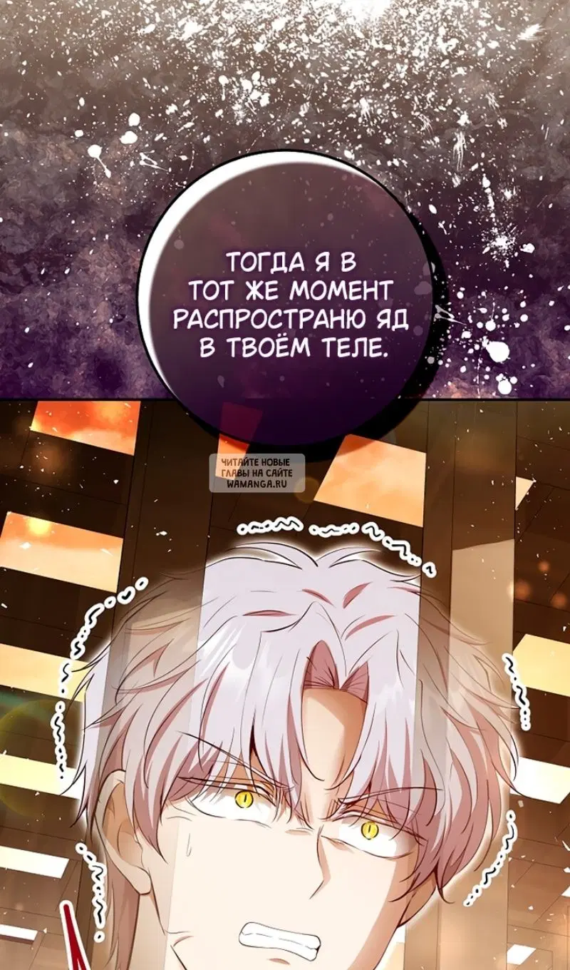 Page 51.000