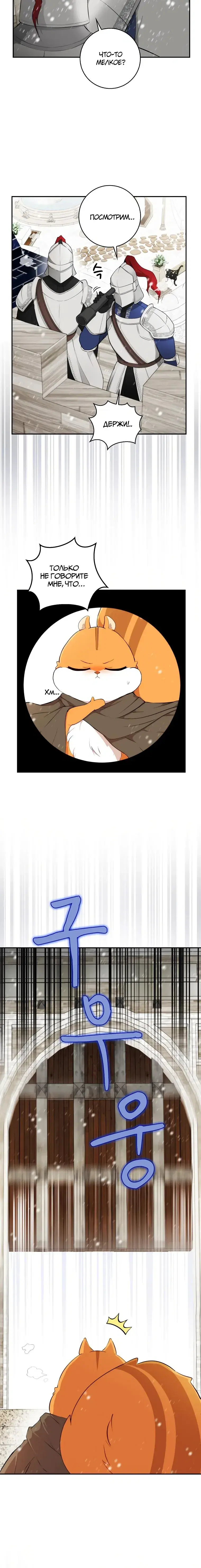 Page 5.001