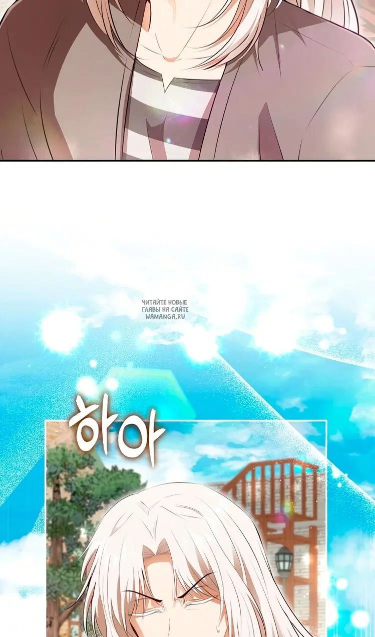 Page 61.000