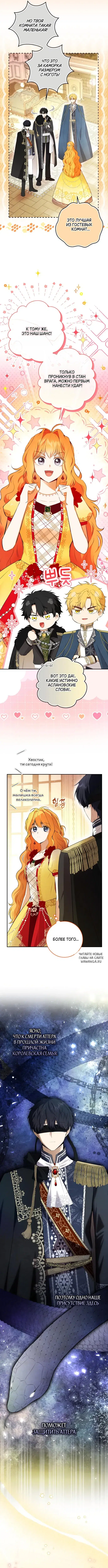 Page 8.000