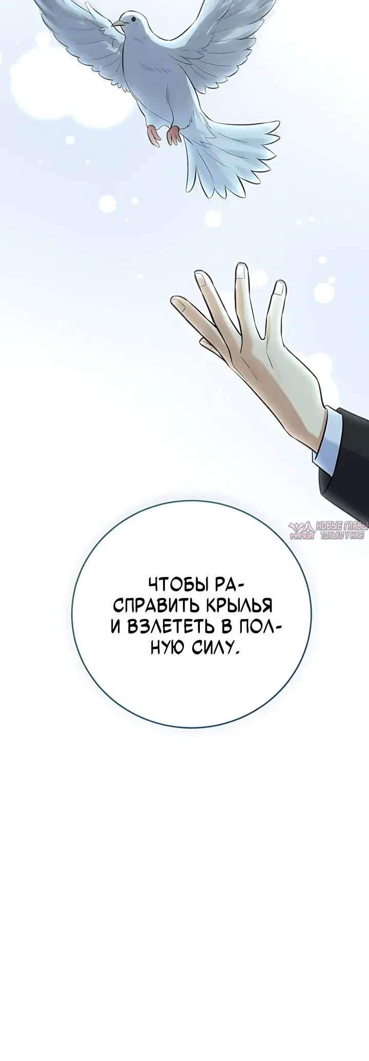 «Покорение фондового рынка младшим сотрудником», глава 27, страница 5.000000000