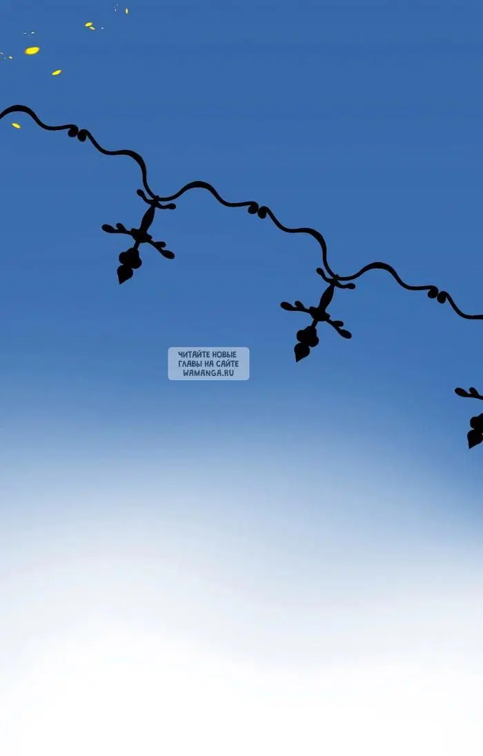 Page 26.000