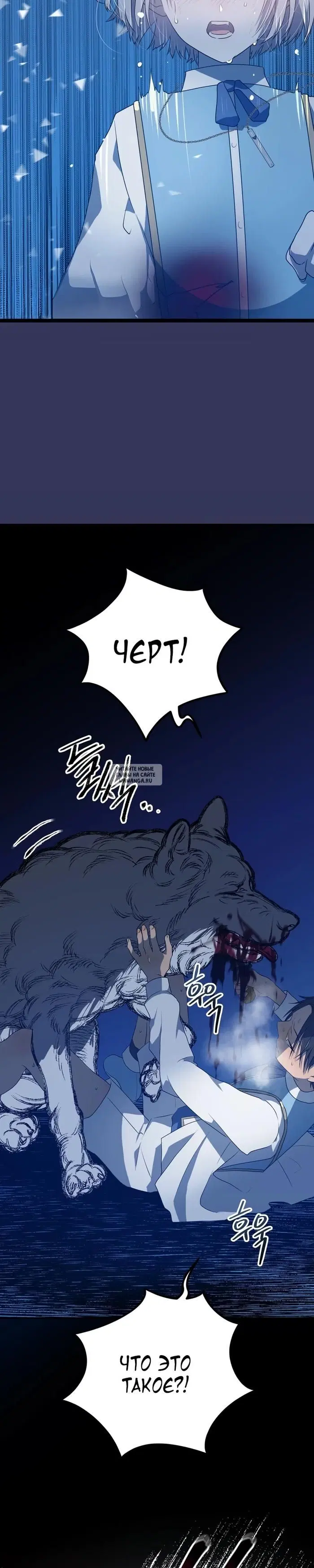 Page 31.000