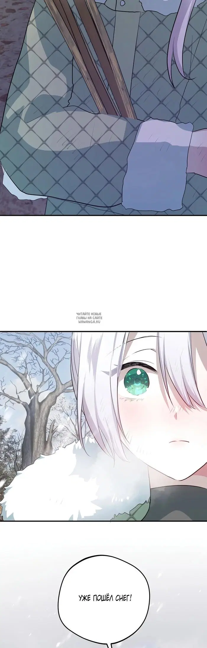 Page 50.000