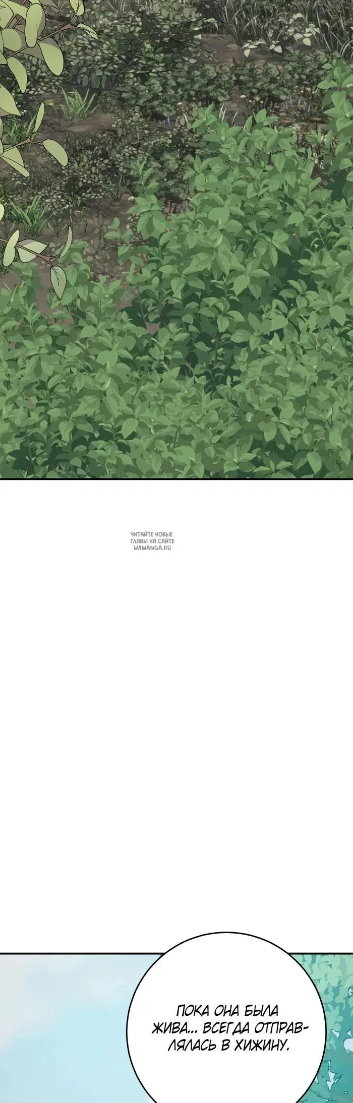 Page 51.000