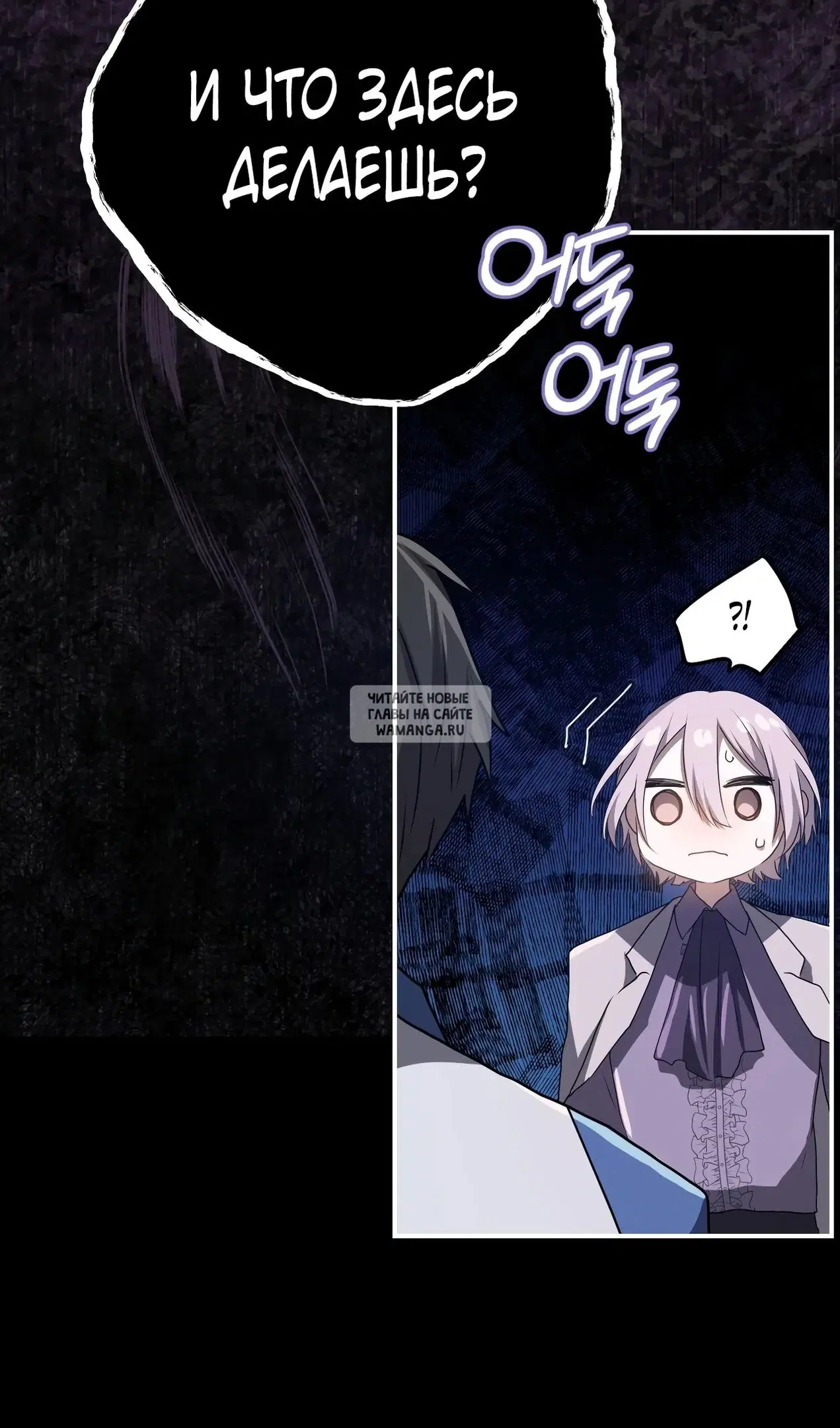 Page 81.000