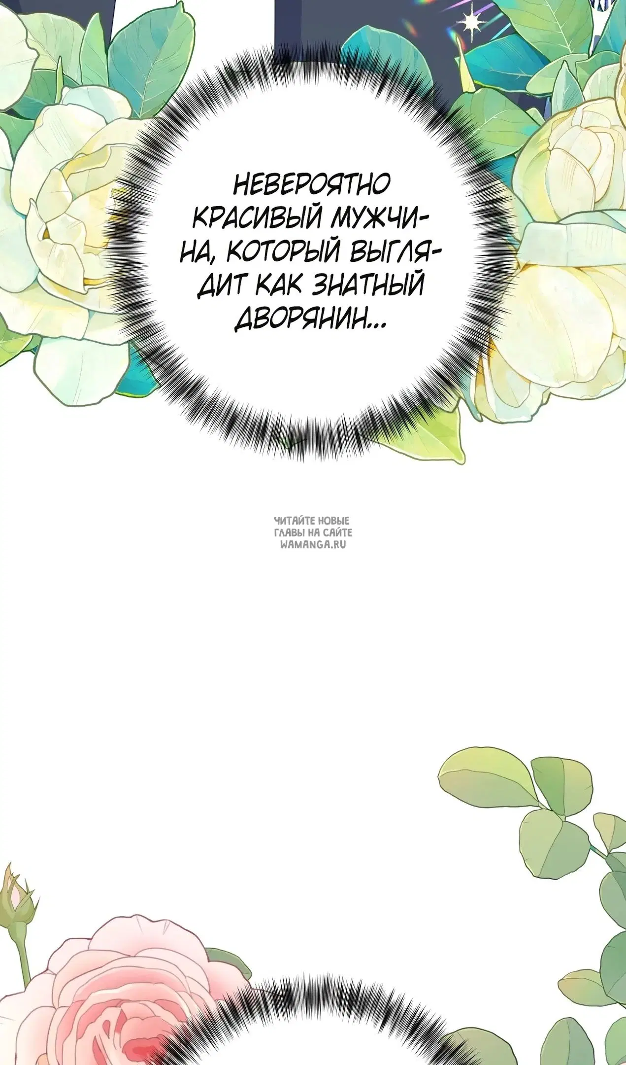 Page 81.000
