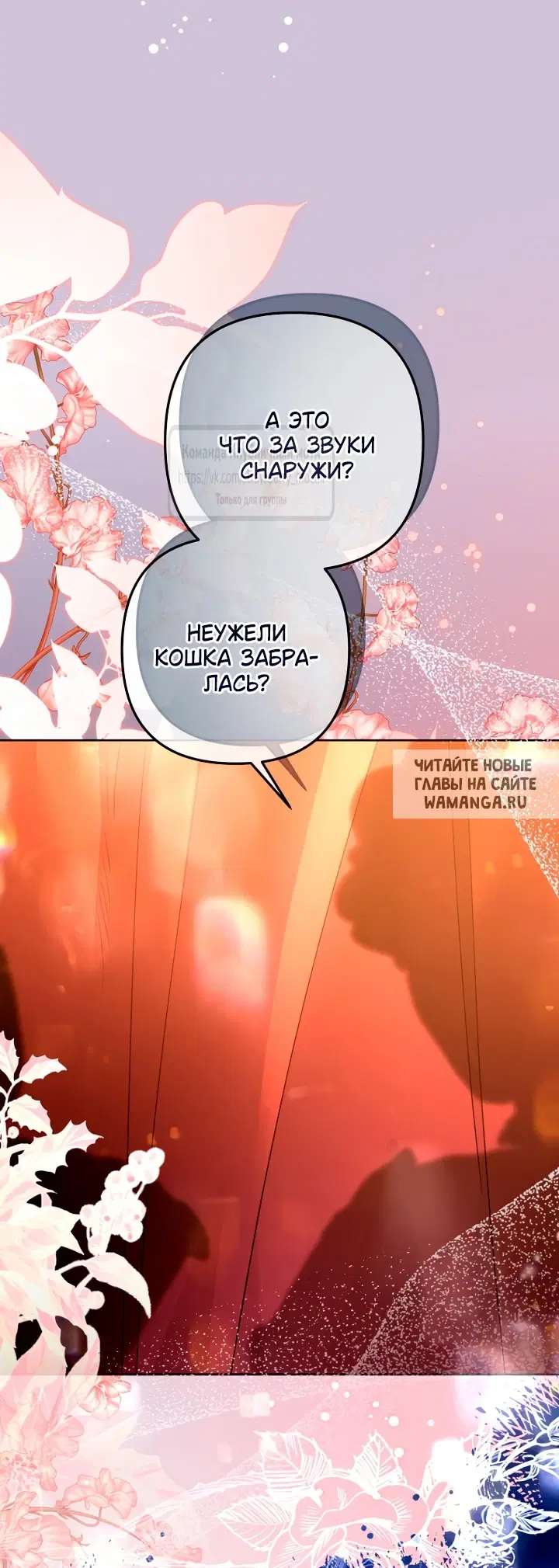 Page 51.000