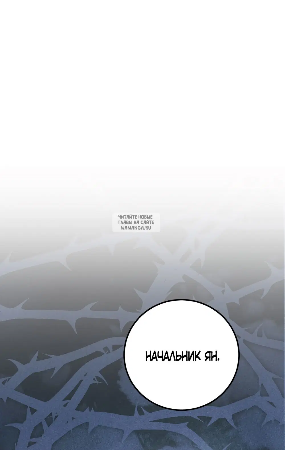 Page 48.000