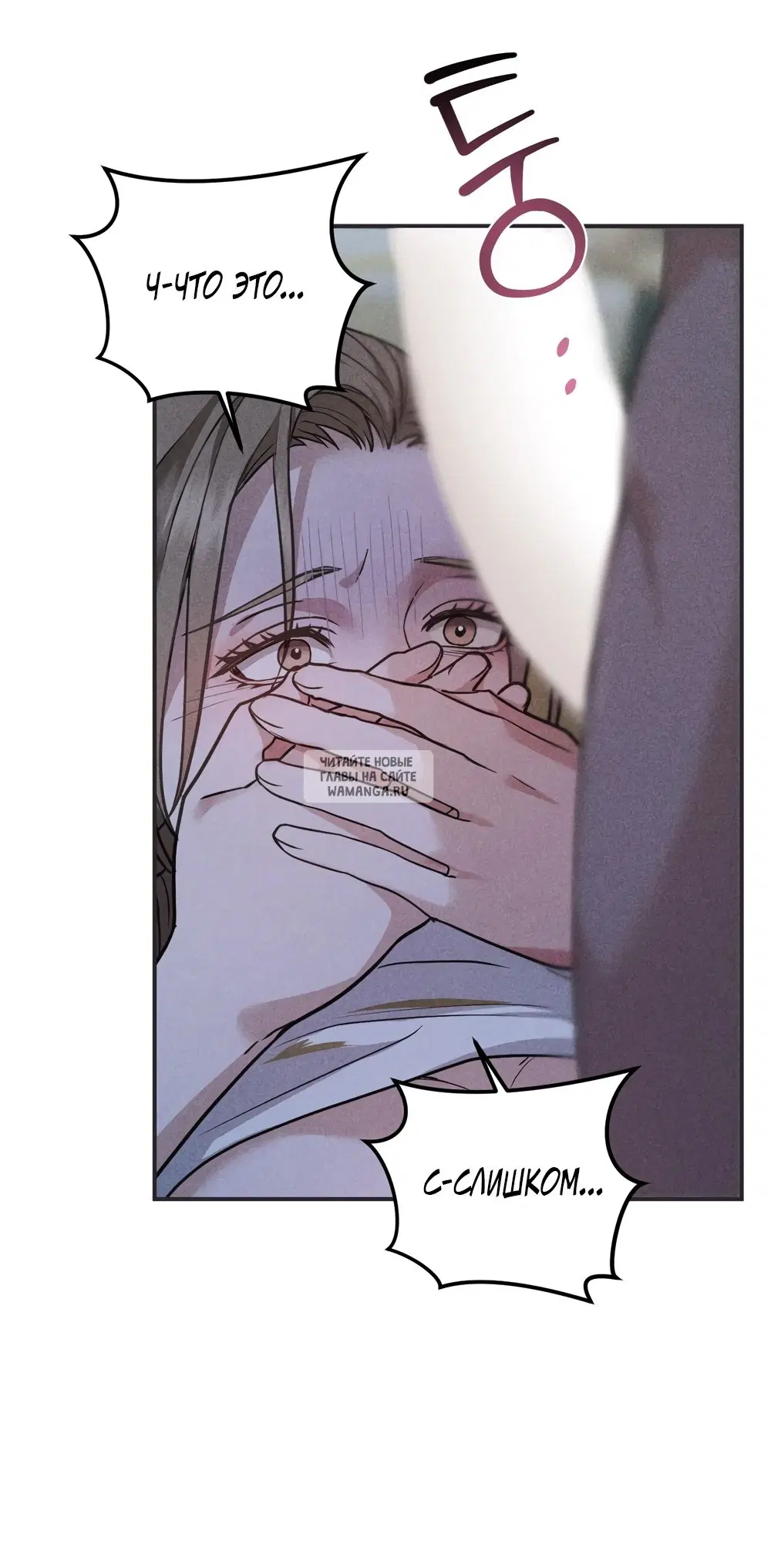 Page 50.000