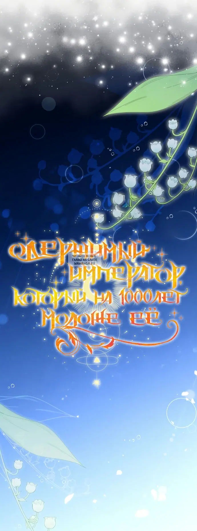 Page 24.000