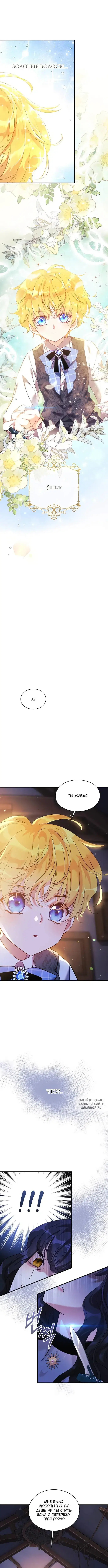 Page 8.000