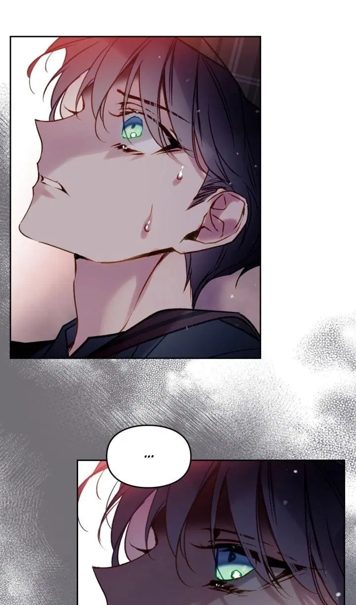 Page 36.000
