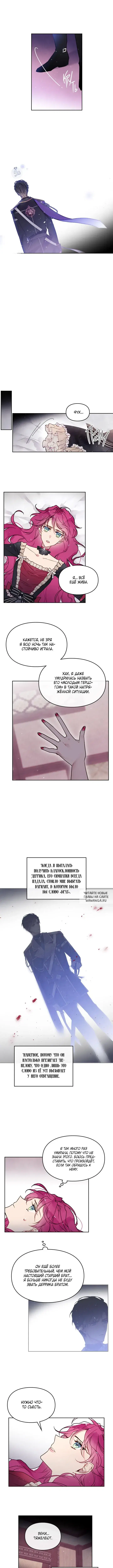 Page 3.000