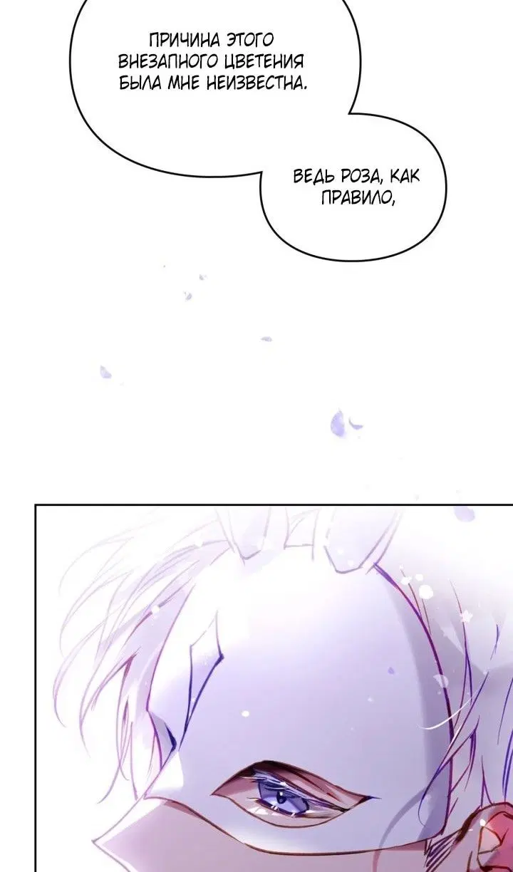 Page 46.000