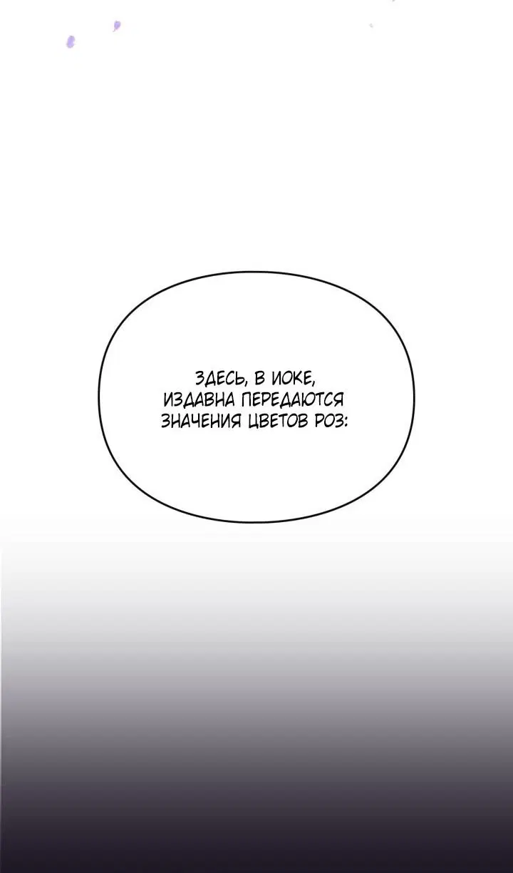 Page 49.000
