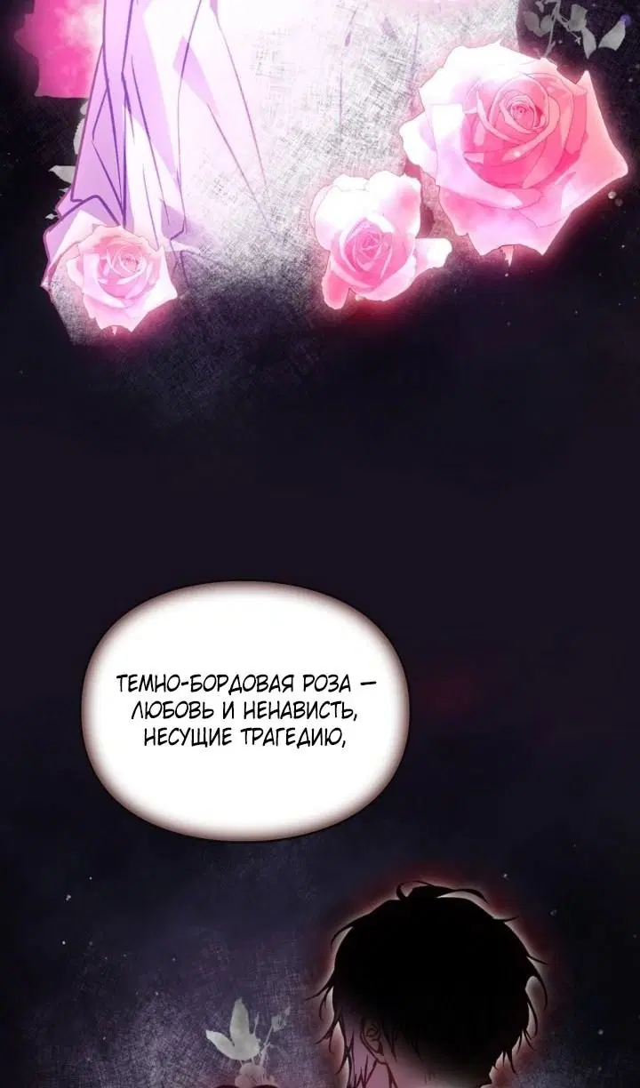 Page 53.000