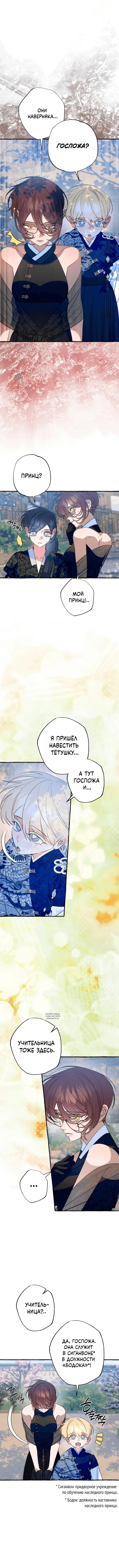 Page 8.000