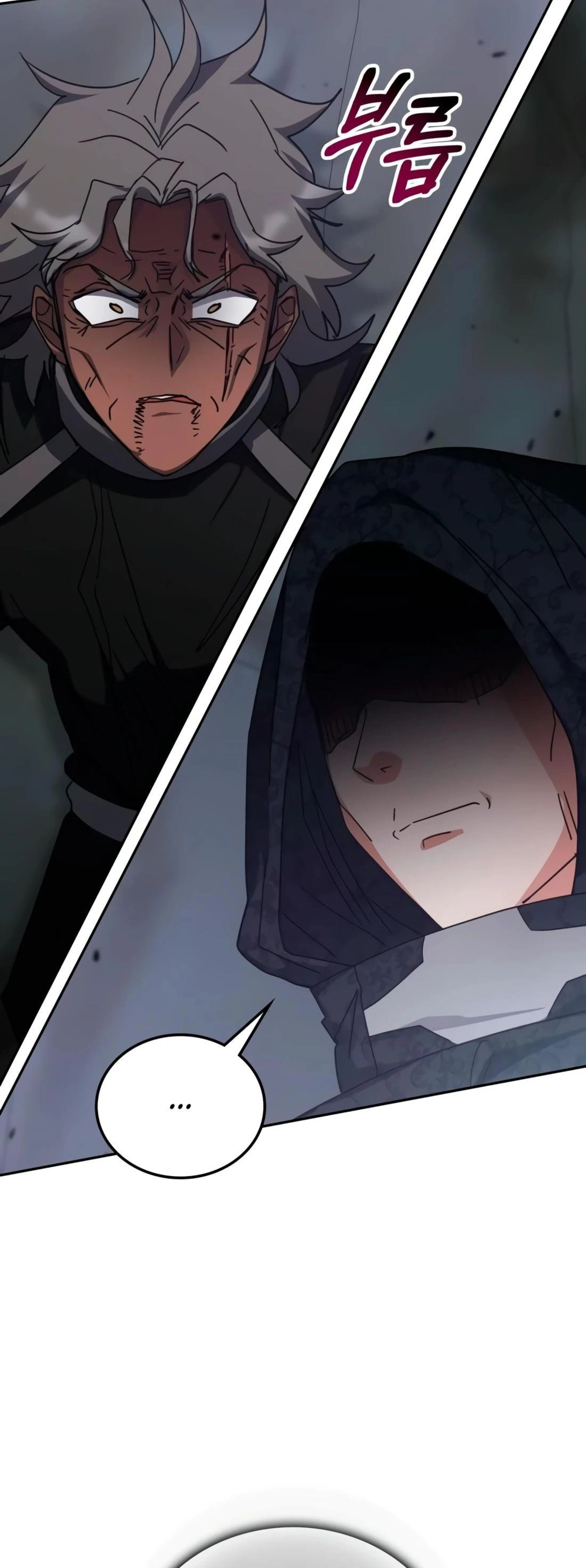 Page 13.002