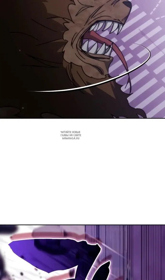 Page 41.000